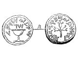 Shekel